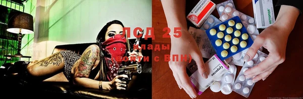 тгк Вяземский
