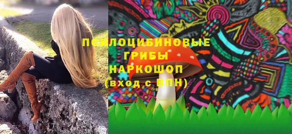 тгк Вяземский