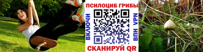 Псилоцибиновые грибы MAGIC MUSHROOMS  Шадринск 